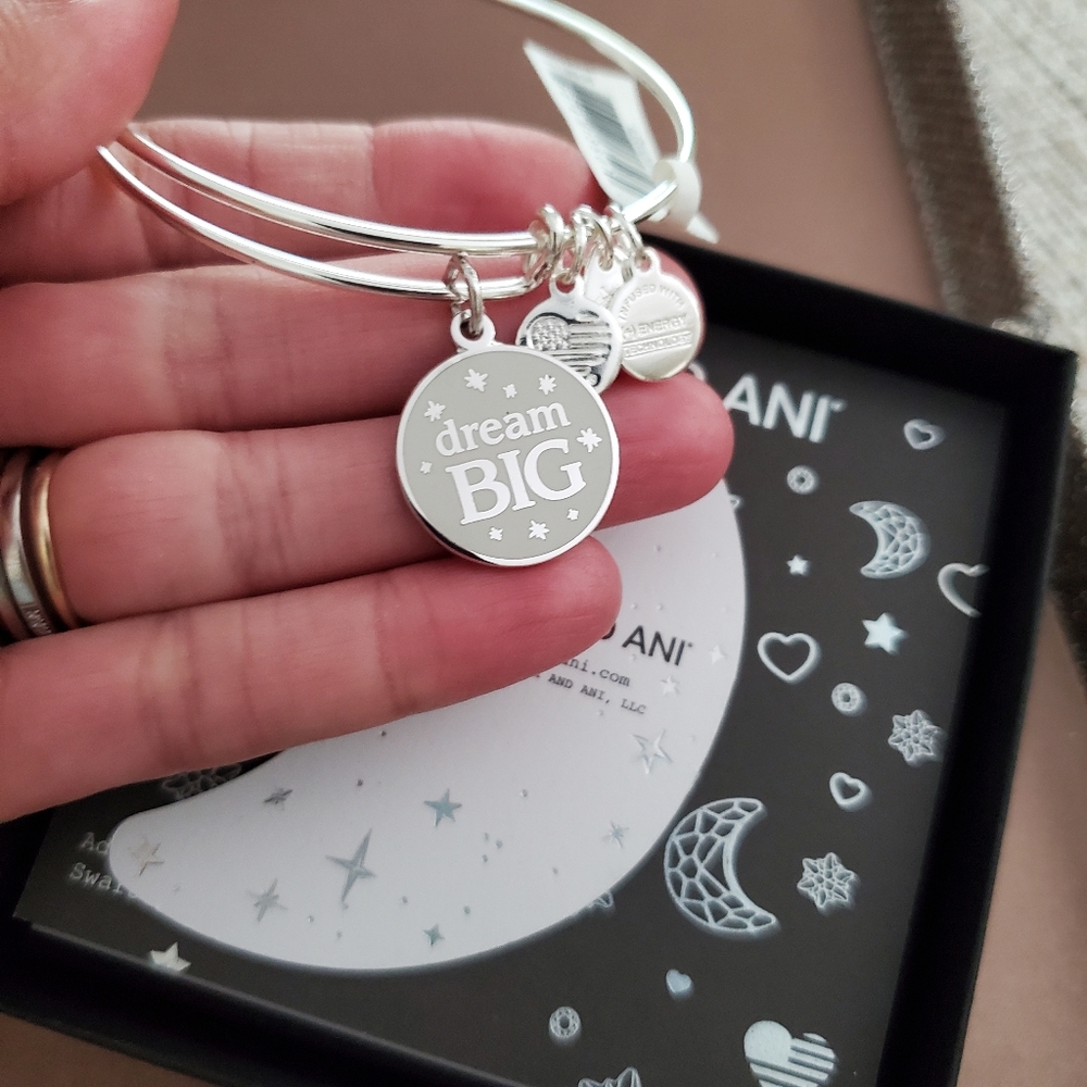 🆕️ Alex and Ani Dream Big Charm Bracelet - Picture 5 of 5